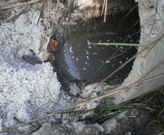 水質(zhì)檢測機構 水質(zhì)檢測機構