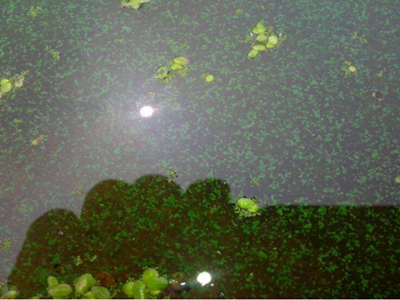 深圳水質(zhì)檢測機構